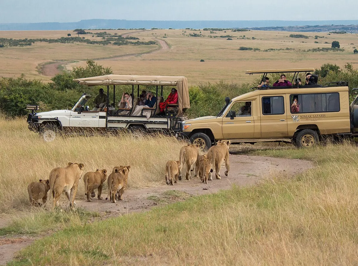 Safari in the Maasai Mara, Kenya