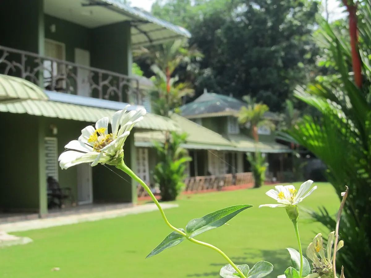 An Ayurveda retreat in Kerala